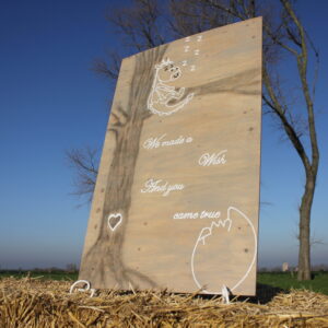 Bord Geboorte Draakje