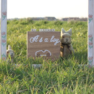 Tekstbord I'ts a boy